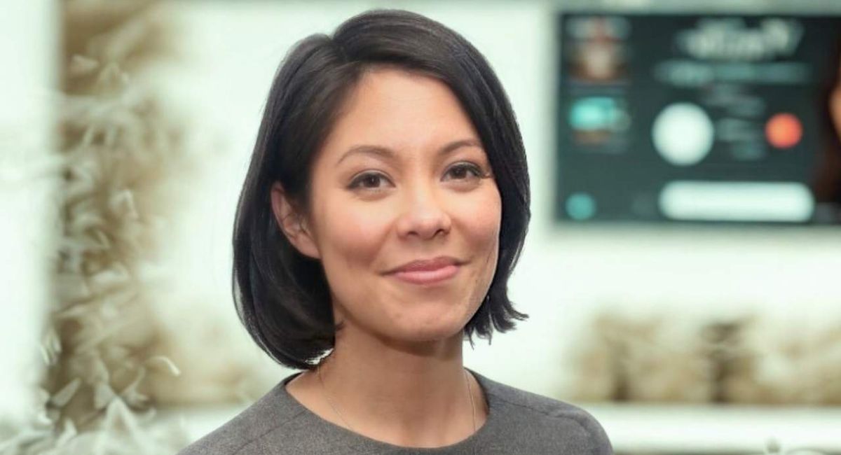 Alex Wagner biography, MSNBC host, American journalist, career journey, husband, family and media profile