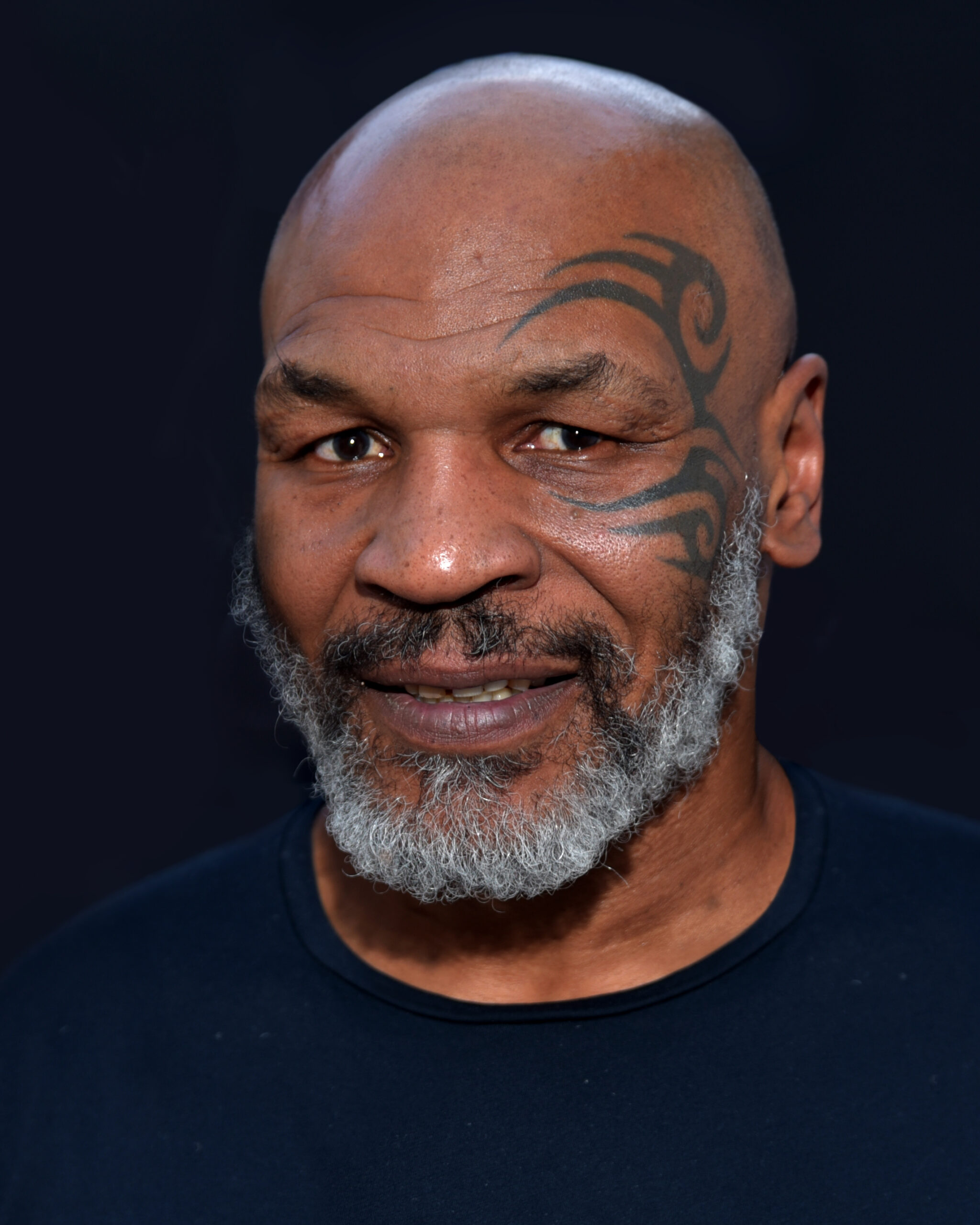 Mike Tyson net worth 2026 — former heavyweight boxing champion