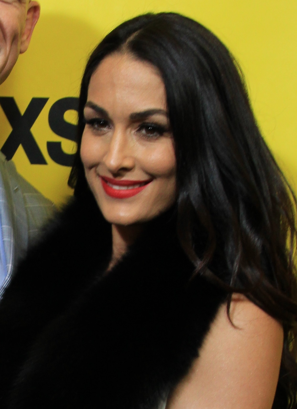 Nikki Bella, WWE Hall of Famer, ahead of her title match
